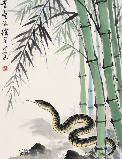 经属蛇本命年注意事项球友会侯宗原国学易·